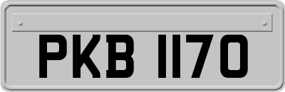 PKB1170