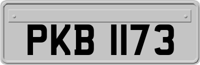 PKB1173