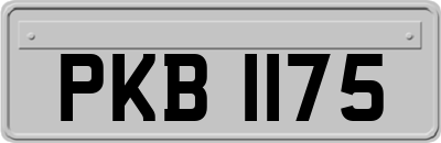 PKB1175