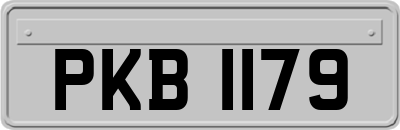 PKB1179