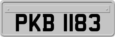 PKB1183