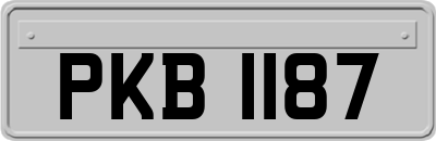PKB1187