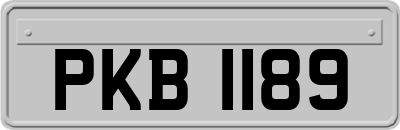 PKB1189