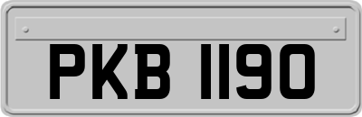 PKB1190