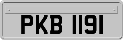 PKB1191