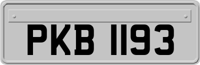 PKB1193
