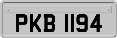 PKB1194