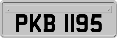 PKB1195
