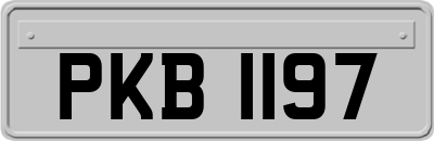 PKB1197