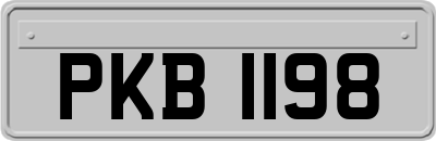 PKB1198