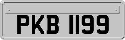 PKB1199