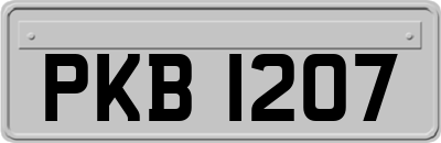 PKB1207