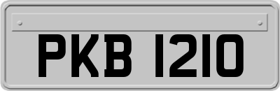 PKB1210