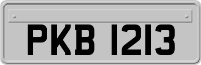 PKB1213