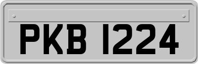PKB1224