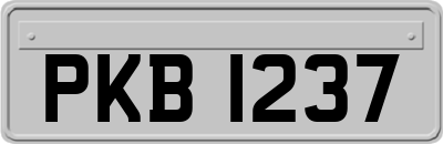 PKB1237