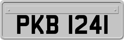 PKB1241