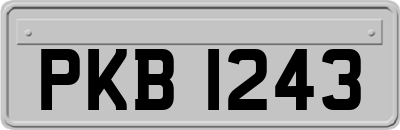 PKB1243