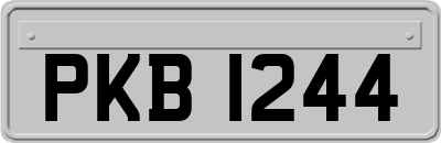 PKB1244