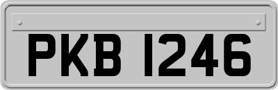 PKB1246