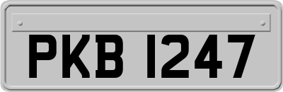 PKB1247