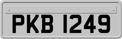 PKB1249