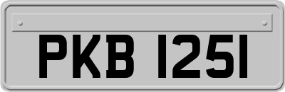 PKB1251