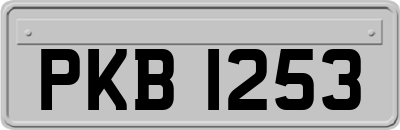 PKB1253