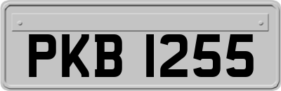 PKB1255