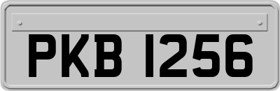 PKB1256