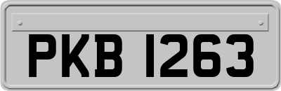 PKB1263