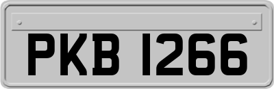 PKB1266