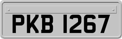 PKB1267