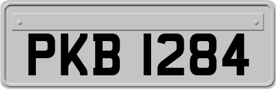 PKB1284