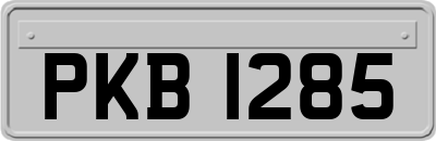 PKB1285