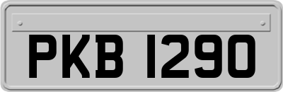 PKB1290