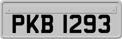 PKB1293