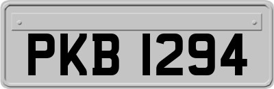 PKB1294