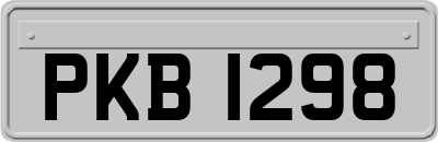 PKB1298