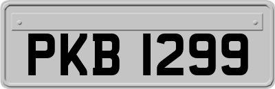 PKB1299