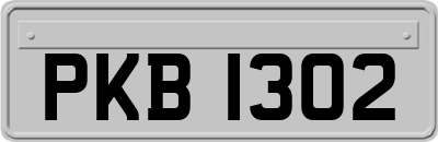 PKB1302