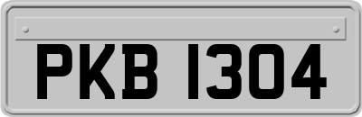 PKB1304
