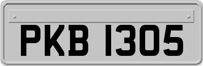 PKB1305