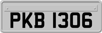 PKB1306
