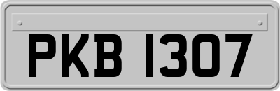 PKB1307
