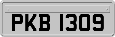 PKB1309
