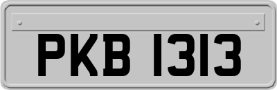 PKB1313