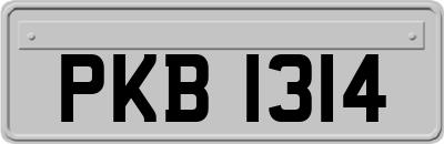 PKB1314