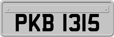 PKB1315