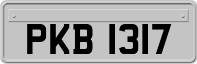 PKB1317